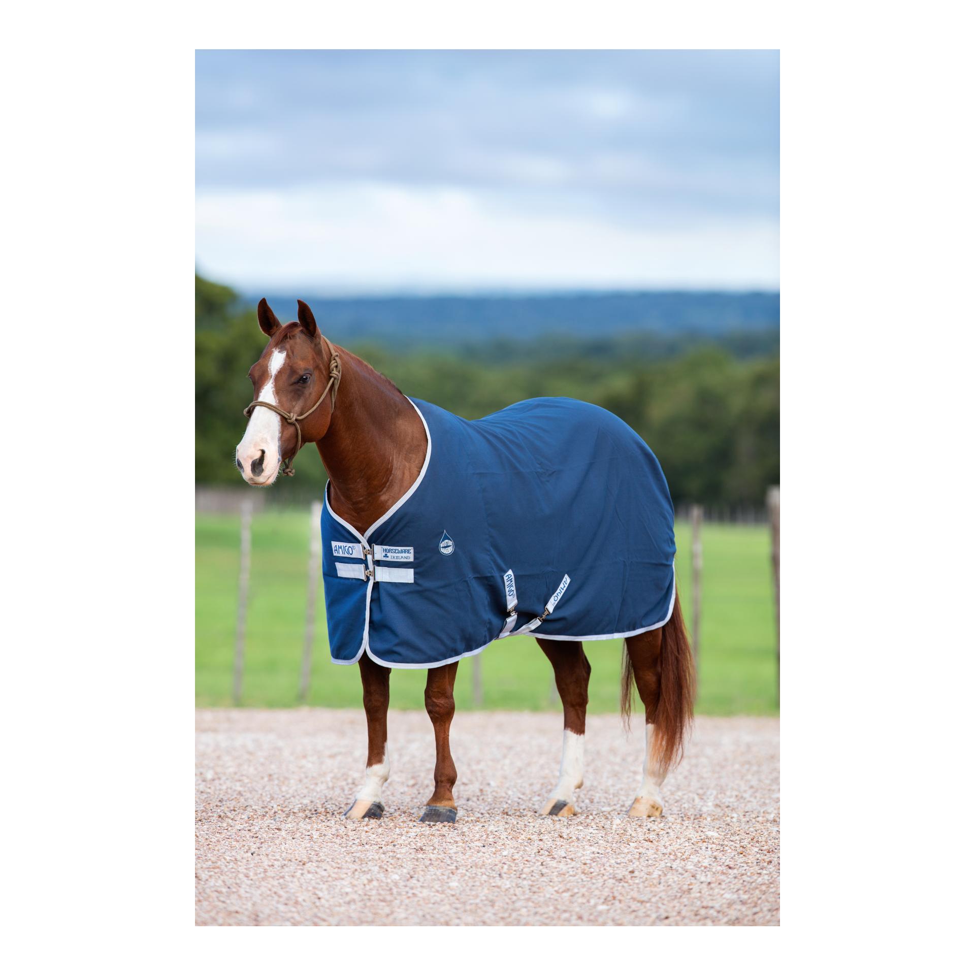 Couverture d'écurie/transport Amigo Jersey - navy/argenté