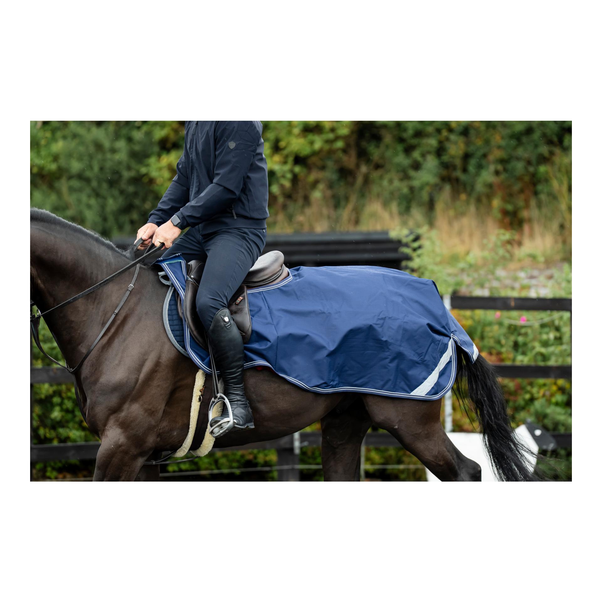 Nierendecke - navy-silber