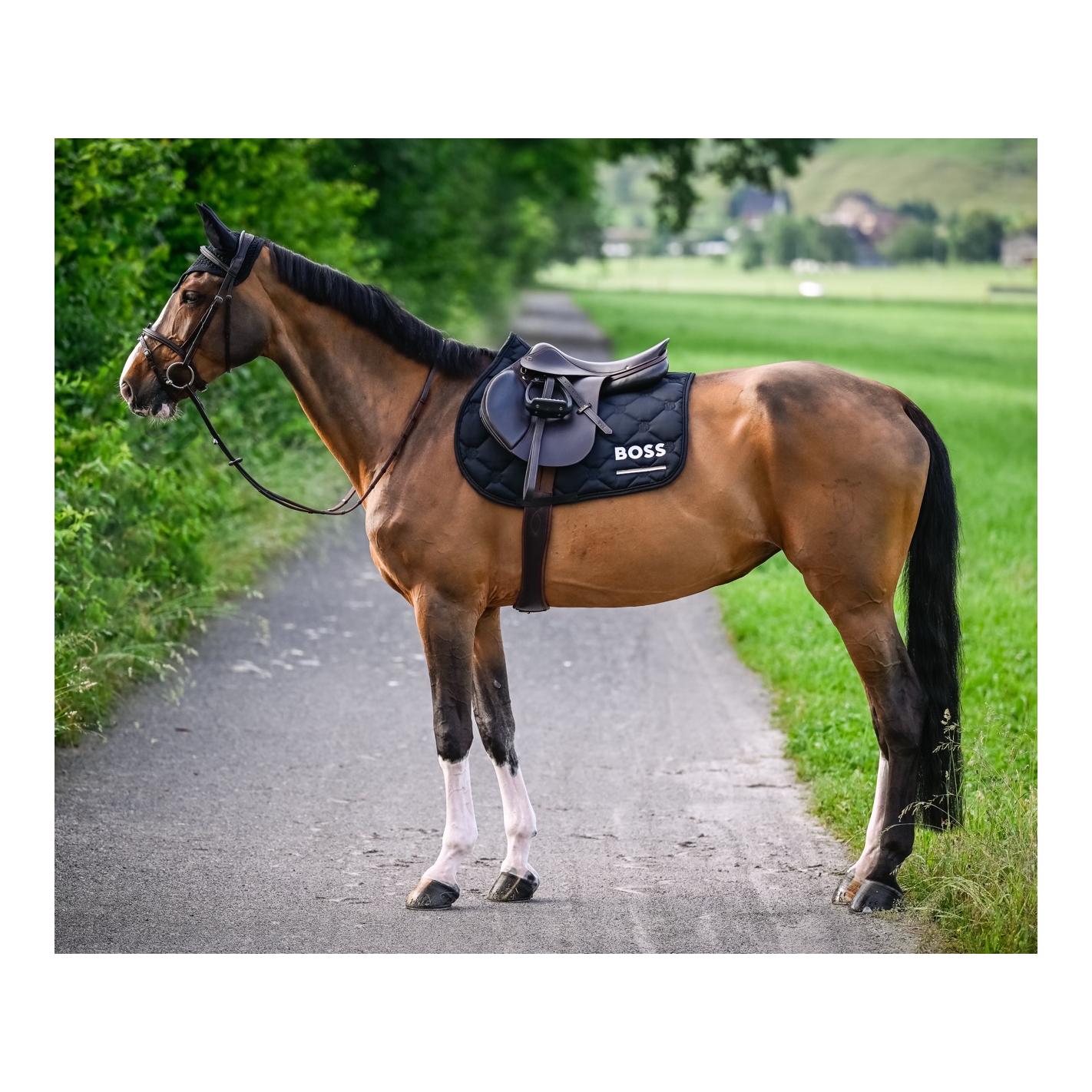 BOSS Equestrian Chabraque de saut Cheltenham Tape