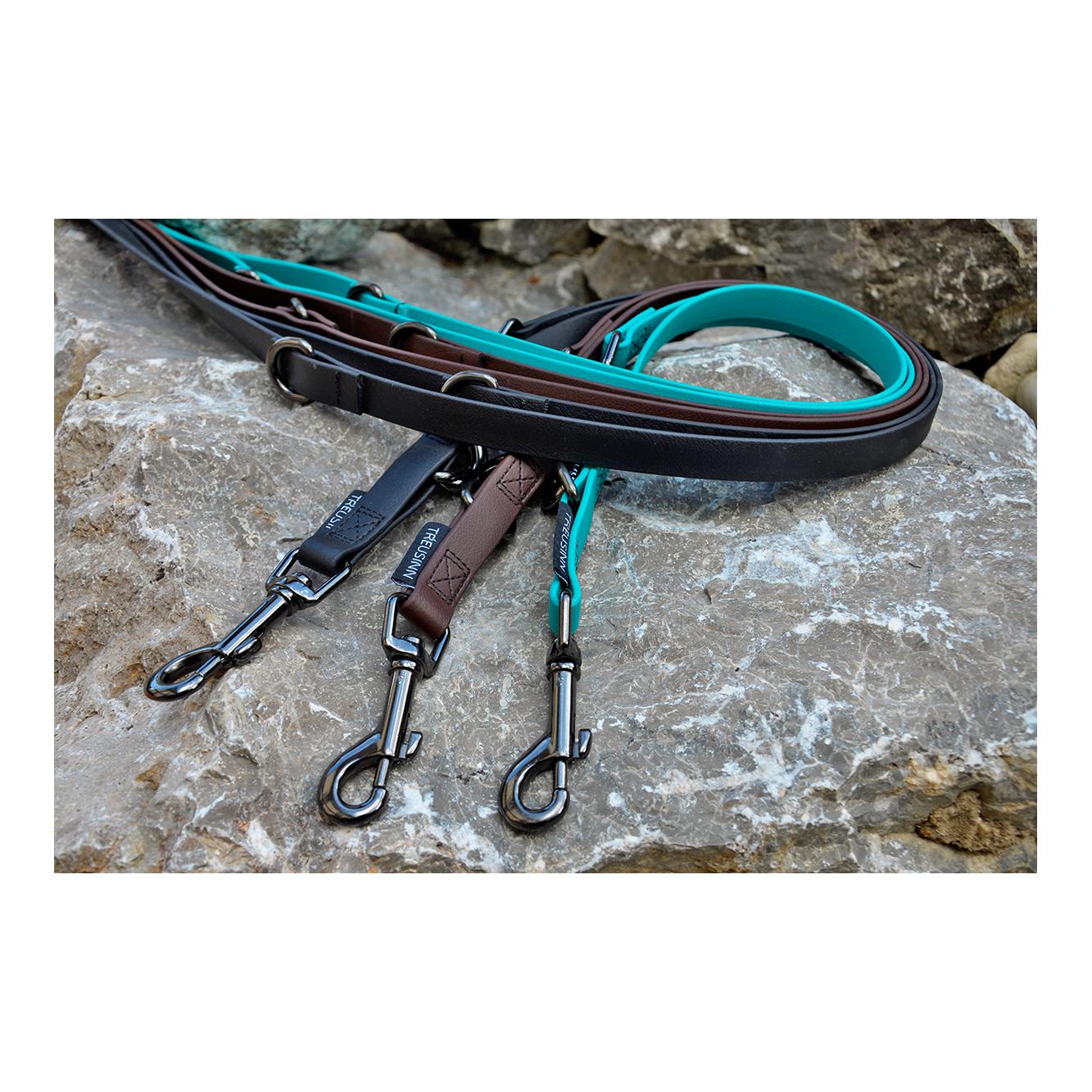 Treusinn. Laisse pour chien Biothane STAY réglable, 2m
