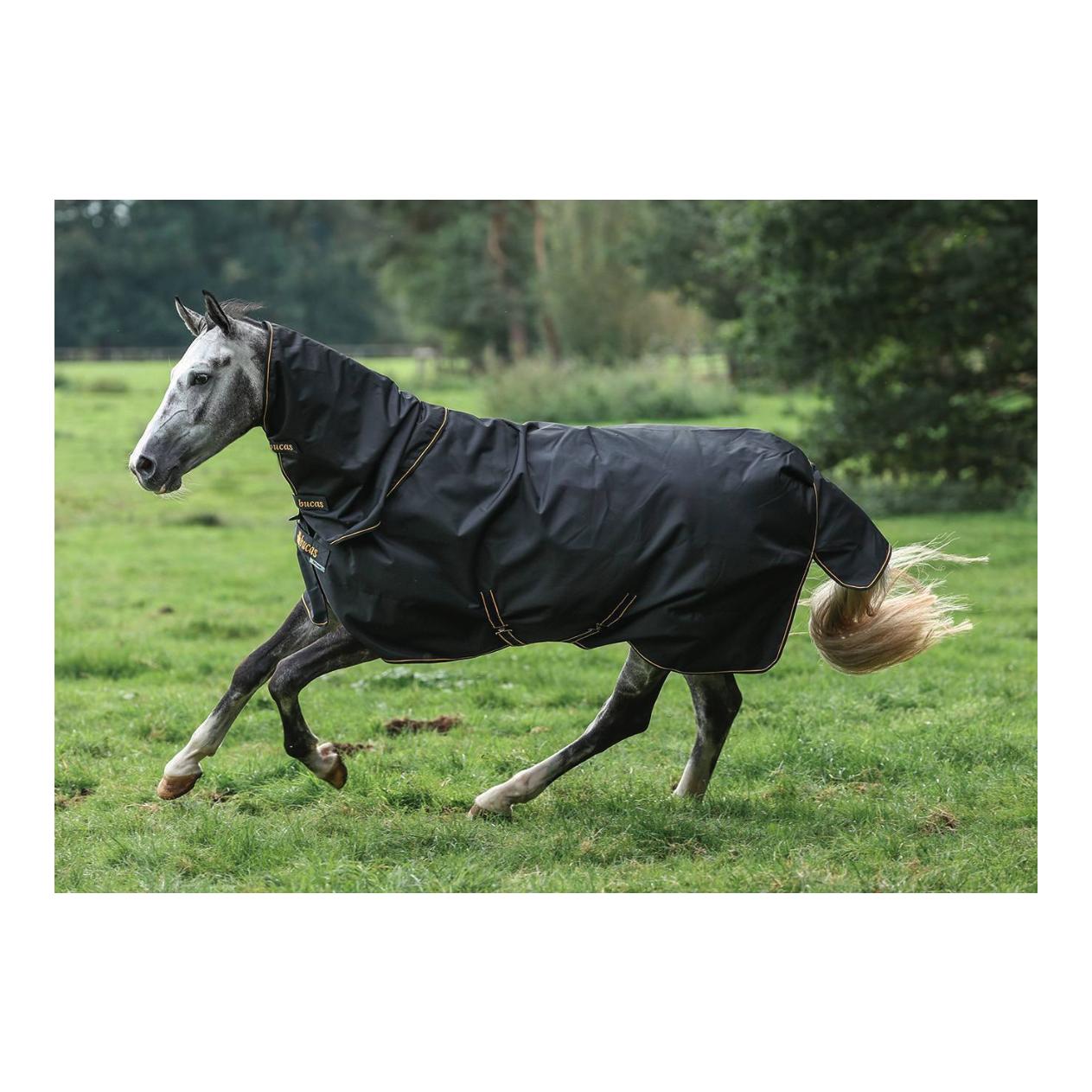 Weidedecke Irish Turnout 150 + Neck