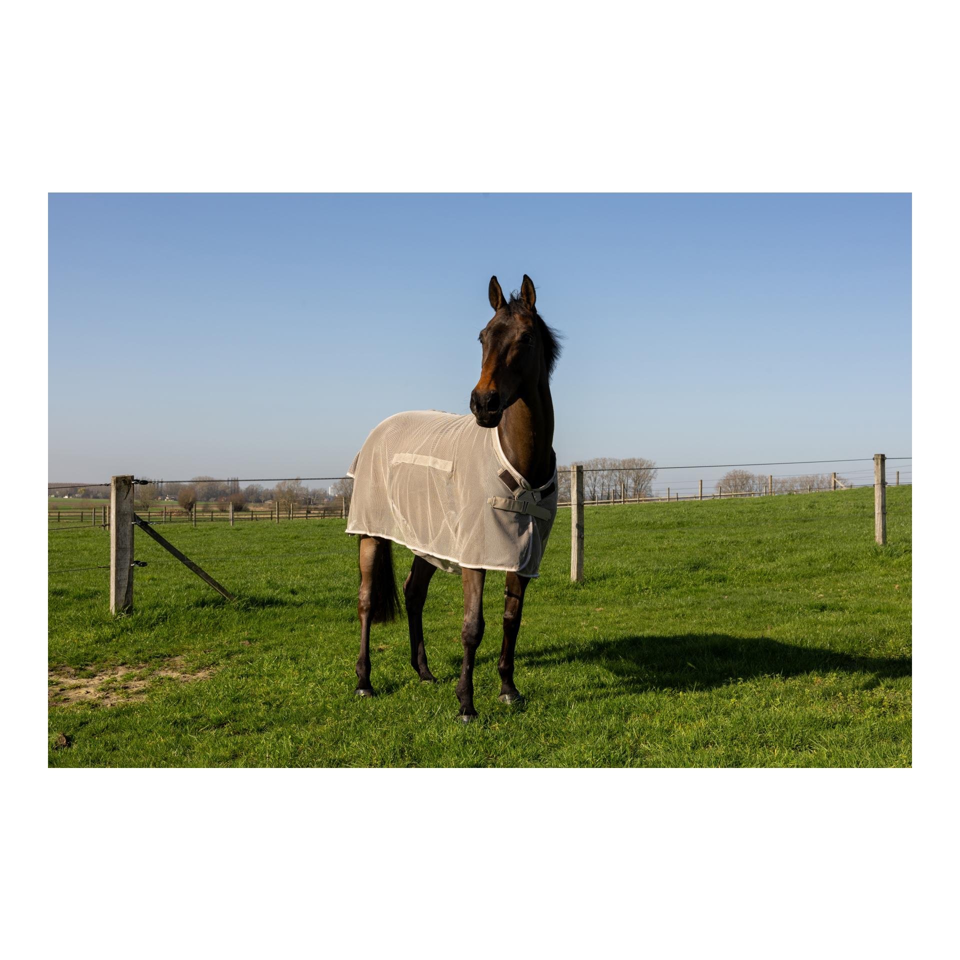 Fliegendecke mit Bauchteil Comfort