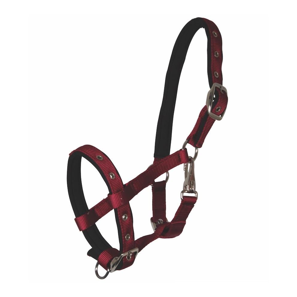 Waldhausen Fohlenhalfter Comfort - bordeaux