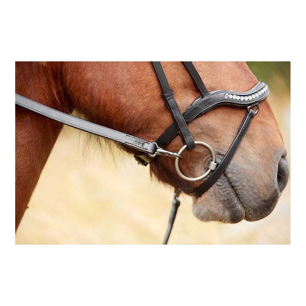 Rênes pour Islandais