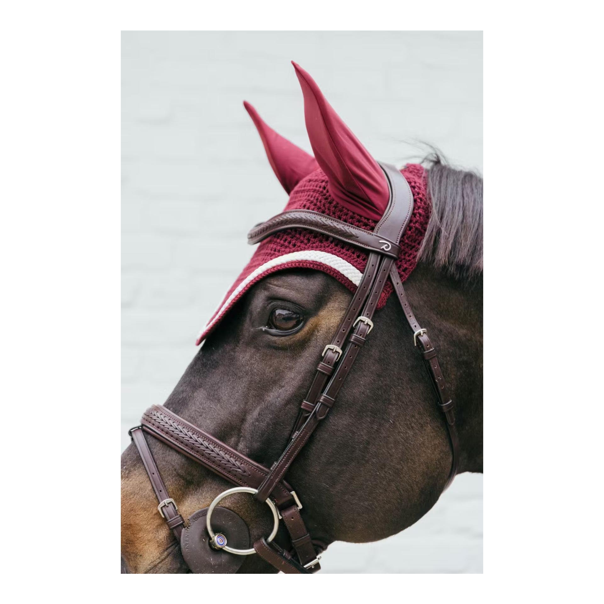 Fliegenhaube Wellington mit geflochtener Kordel Fliegenhaube Wellington mit geflochtener Kordel