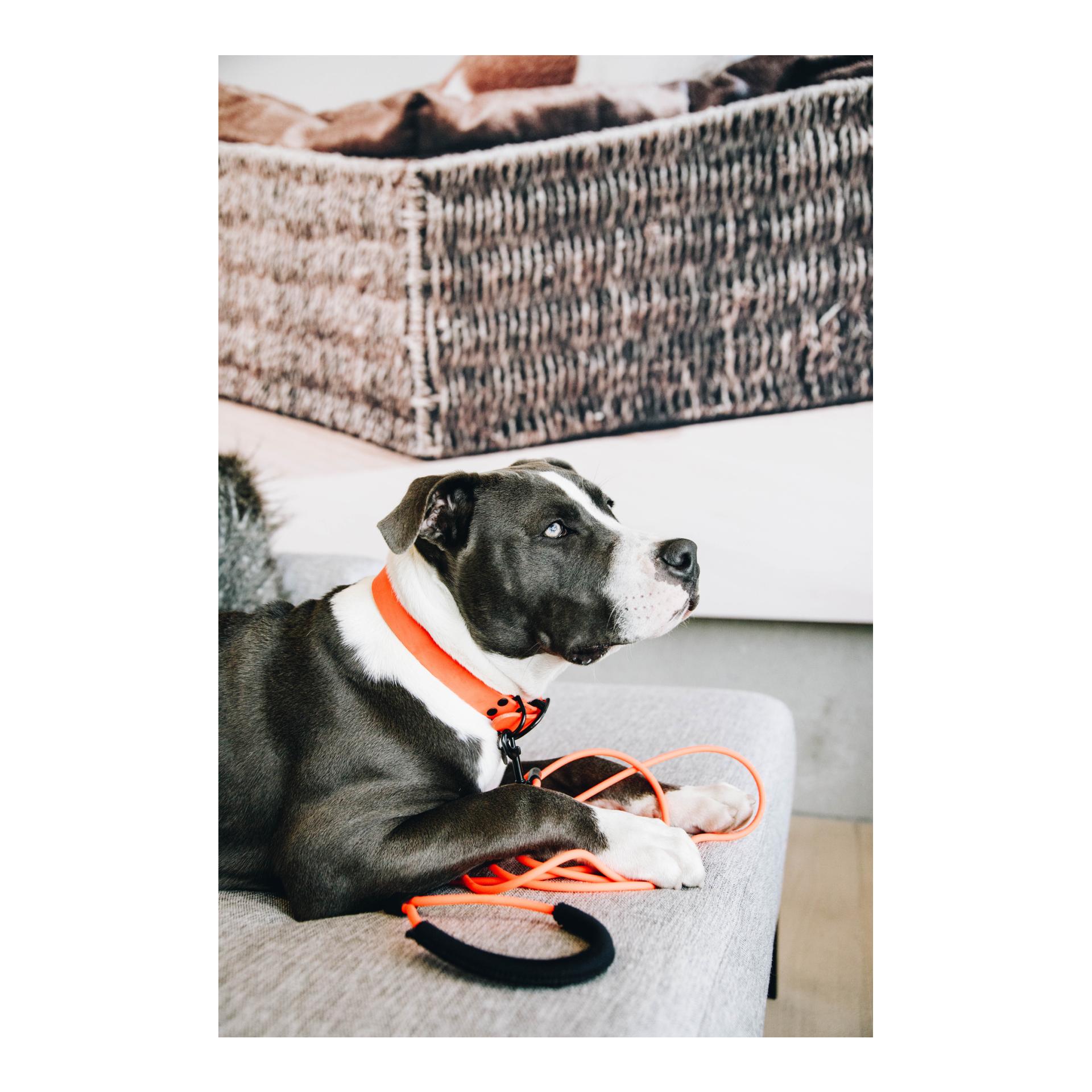 Schleppleine Soft Rubber 5m - neon orange Schleppleine Soft Rubber 5m - neon orange
