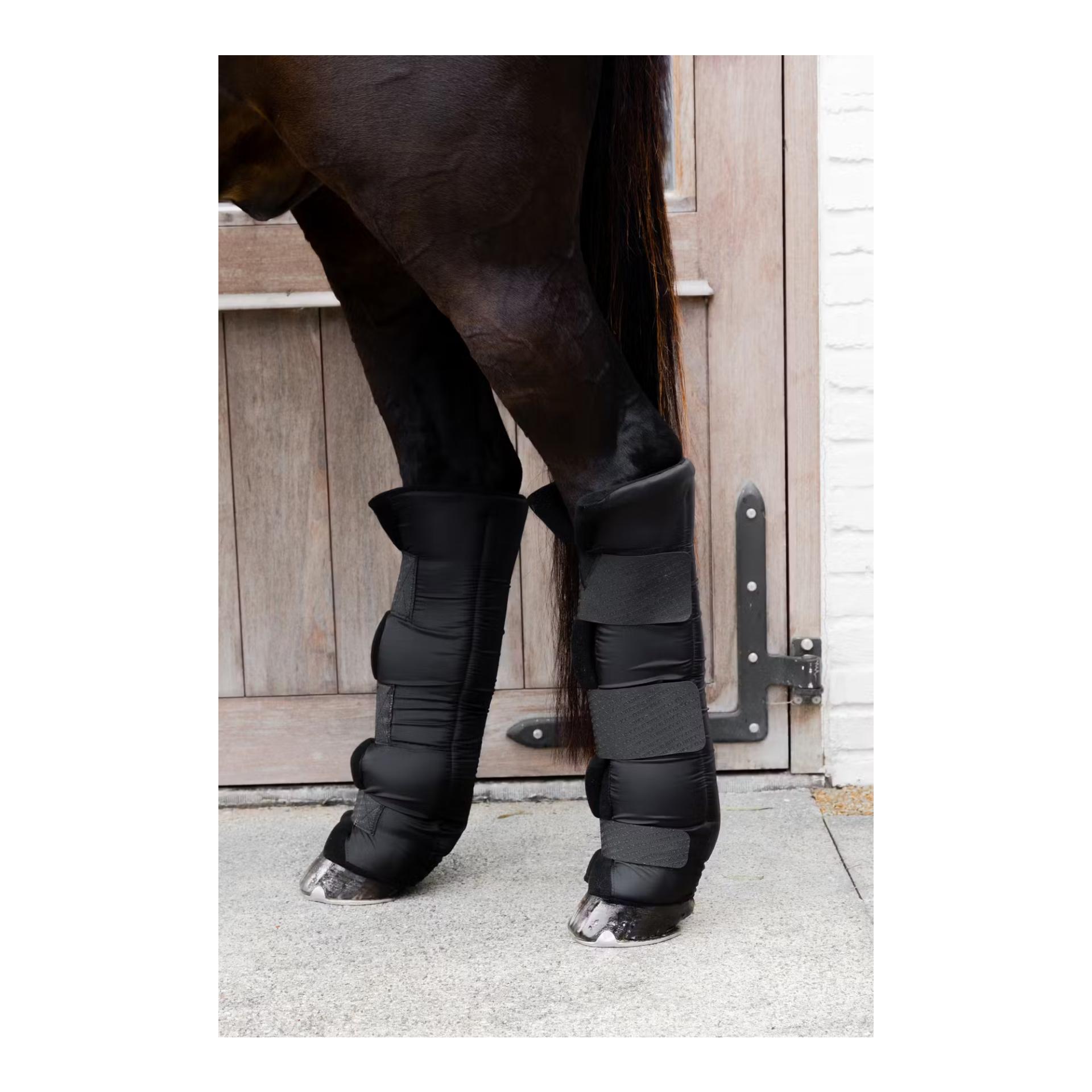 Stallgamaschen PROtect lang hinten