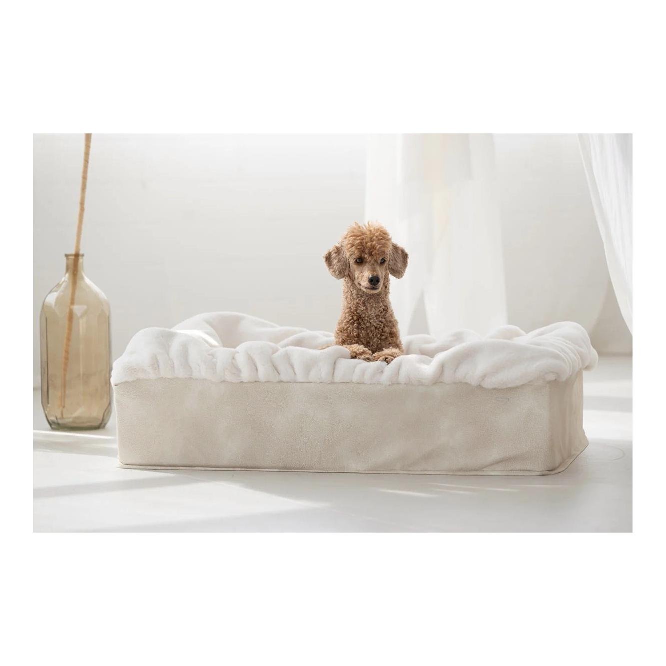 Dogspring by MAUL Hundebett Buddelbox® - creme