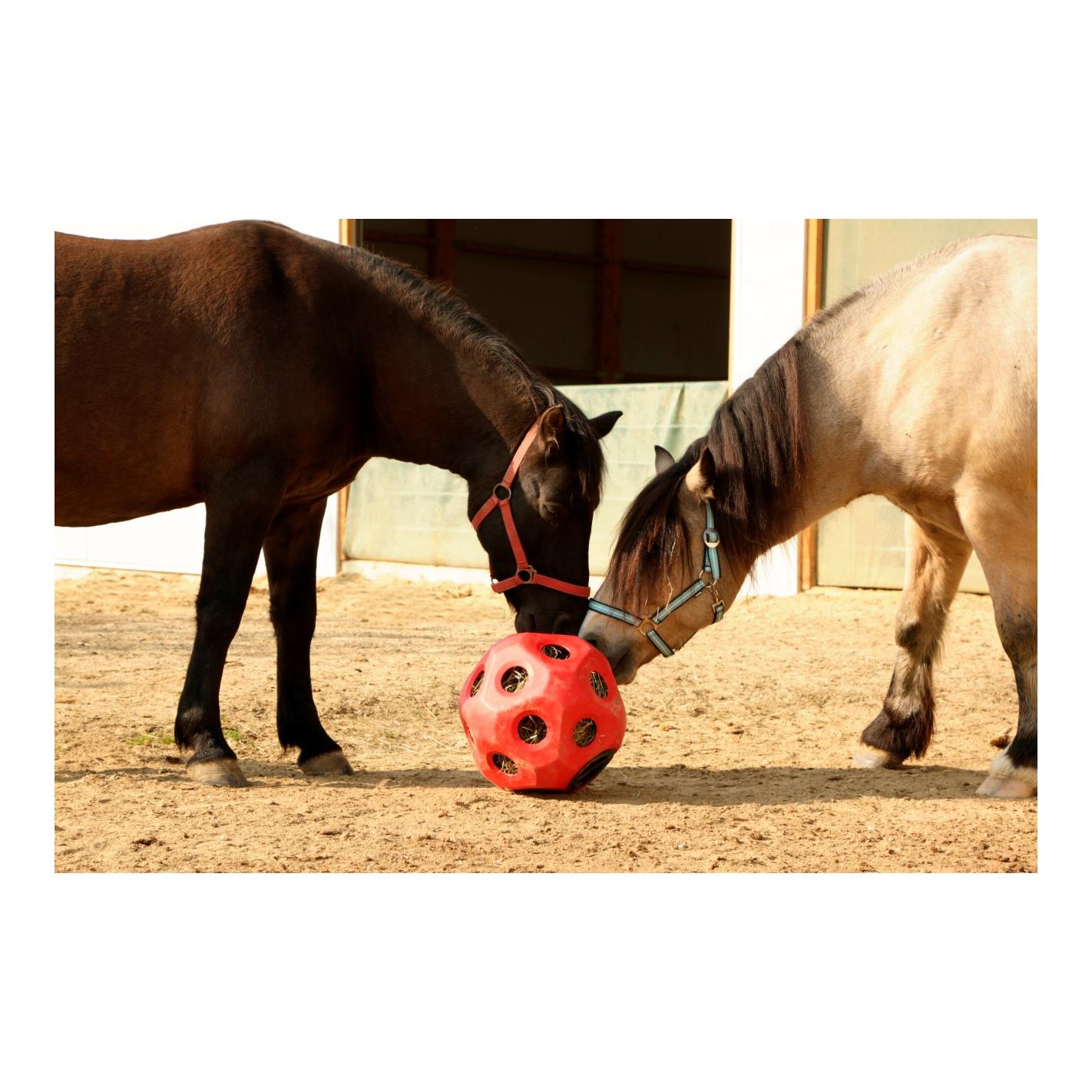 Balle de jeu alimentaire HeuBoy - bleu