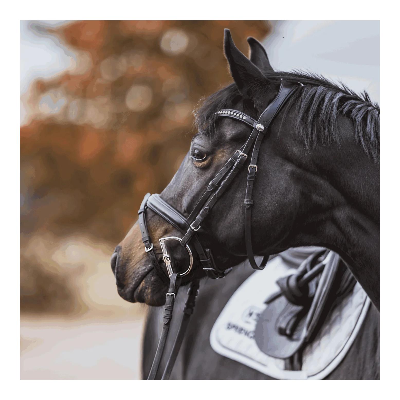 Sprenger KK Ultra D-Ring 15 mm - Sensogan