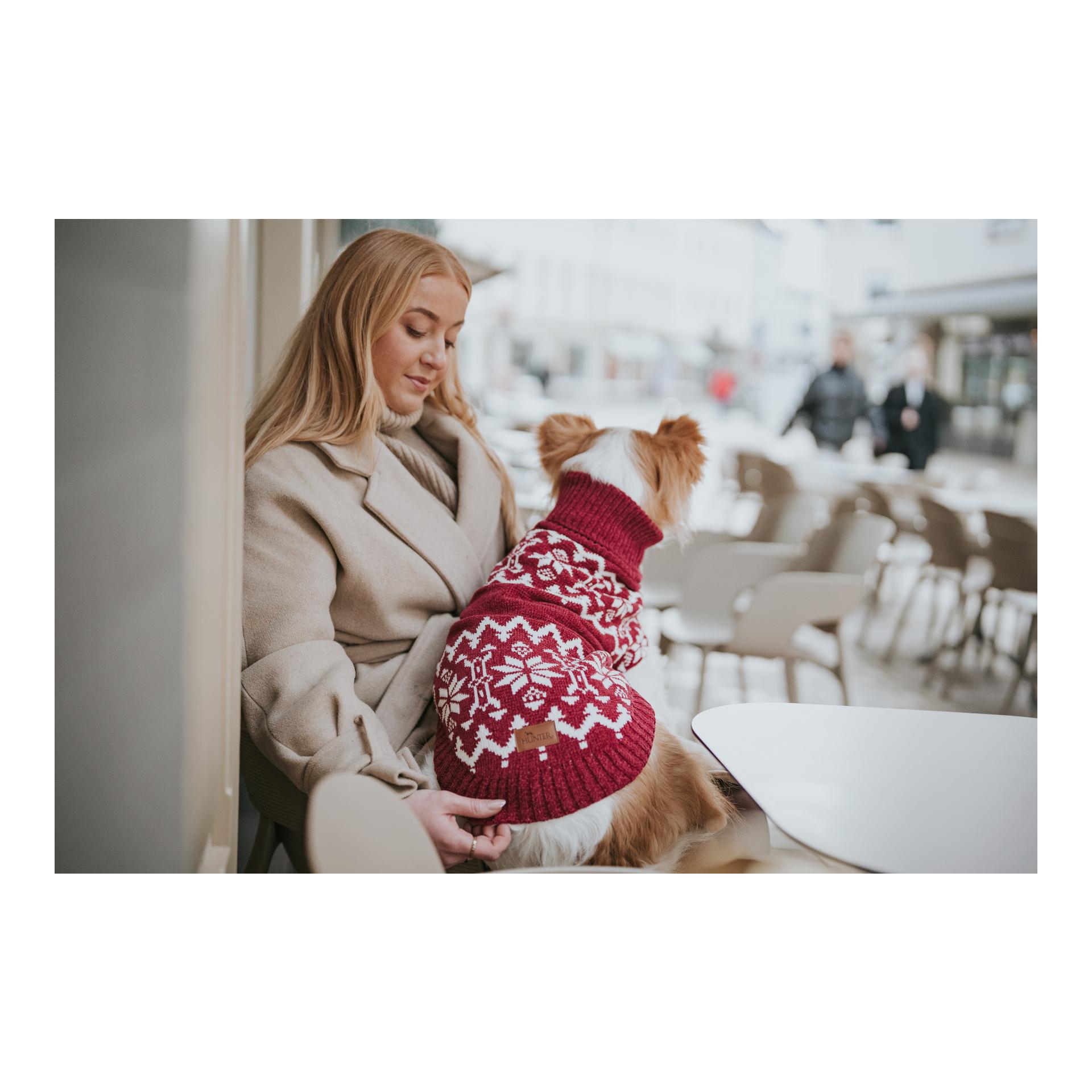 Hunter Pull pour chien Birka