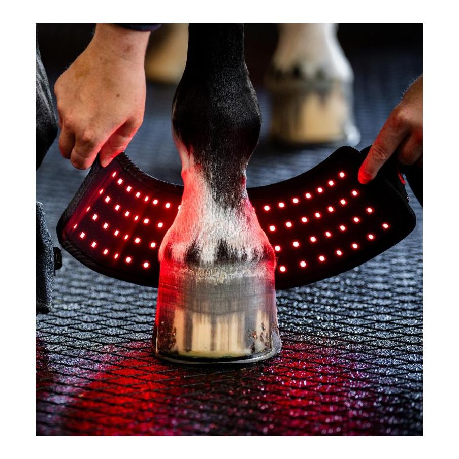Horseware Thérapie par lumière rouge LED – Mini-jambière