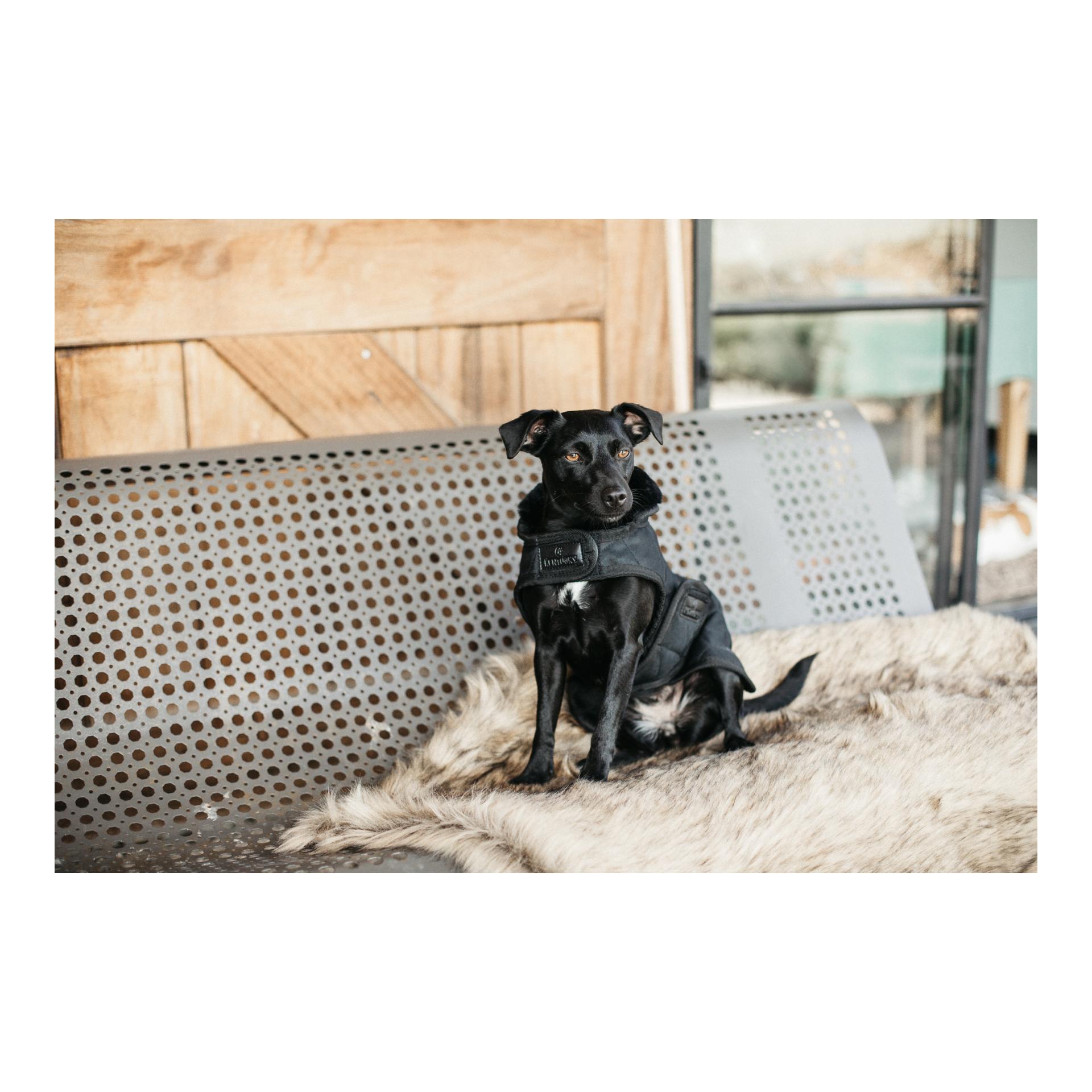 Hundemantel Original - black/black Hundemantel Original - black/black