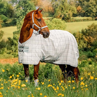 RS-KAT-Fliegendecke RS-KAT-Fliegendecke