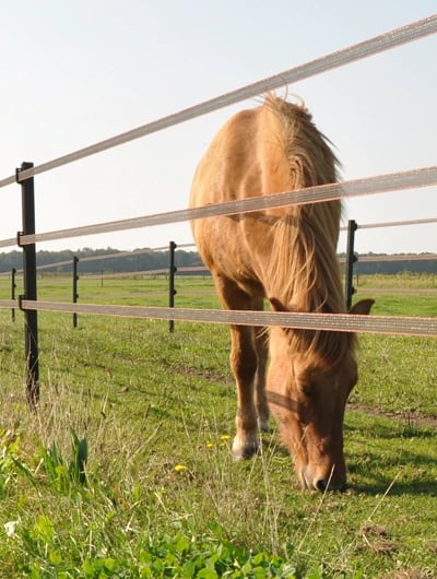 RS-ShopBanner_Weidezaun