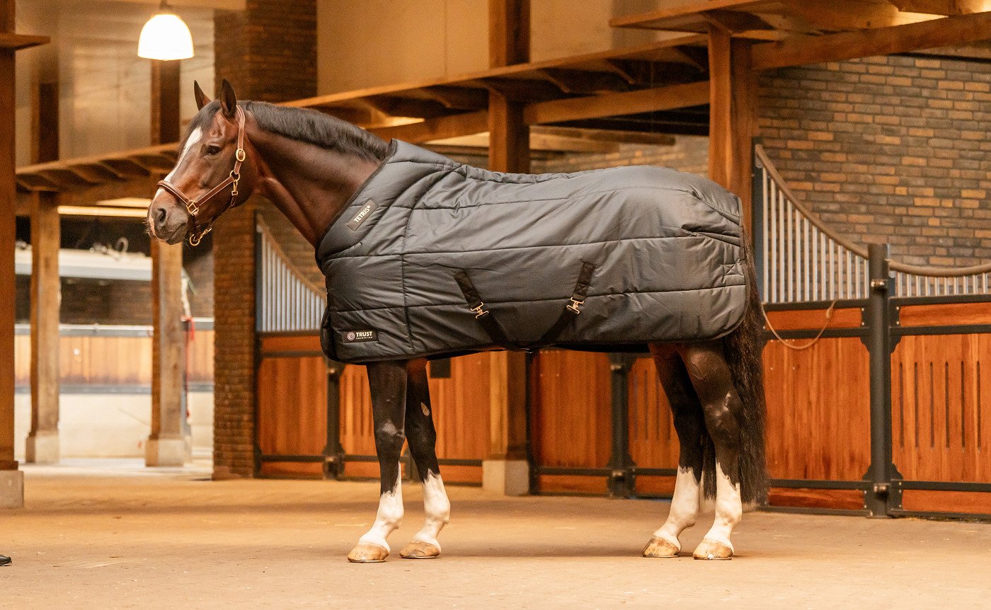 Stalldecke Tetris 200g