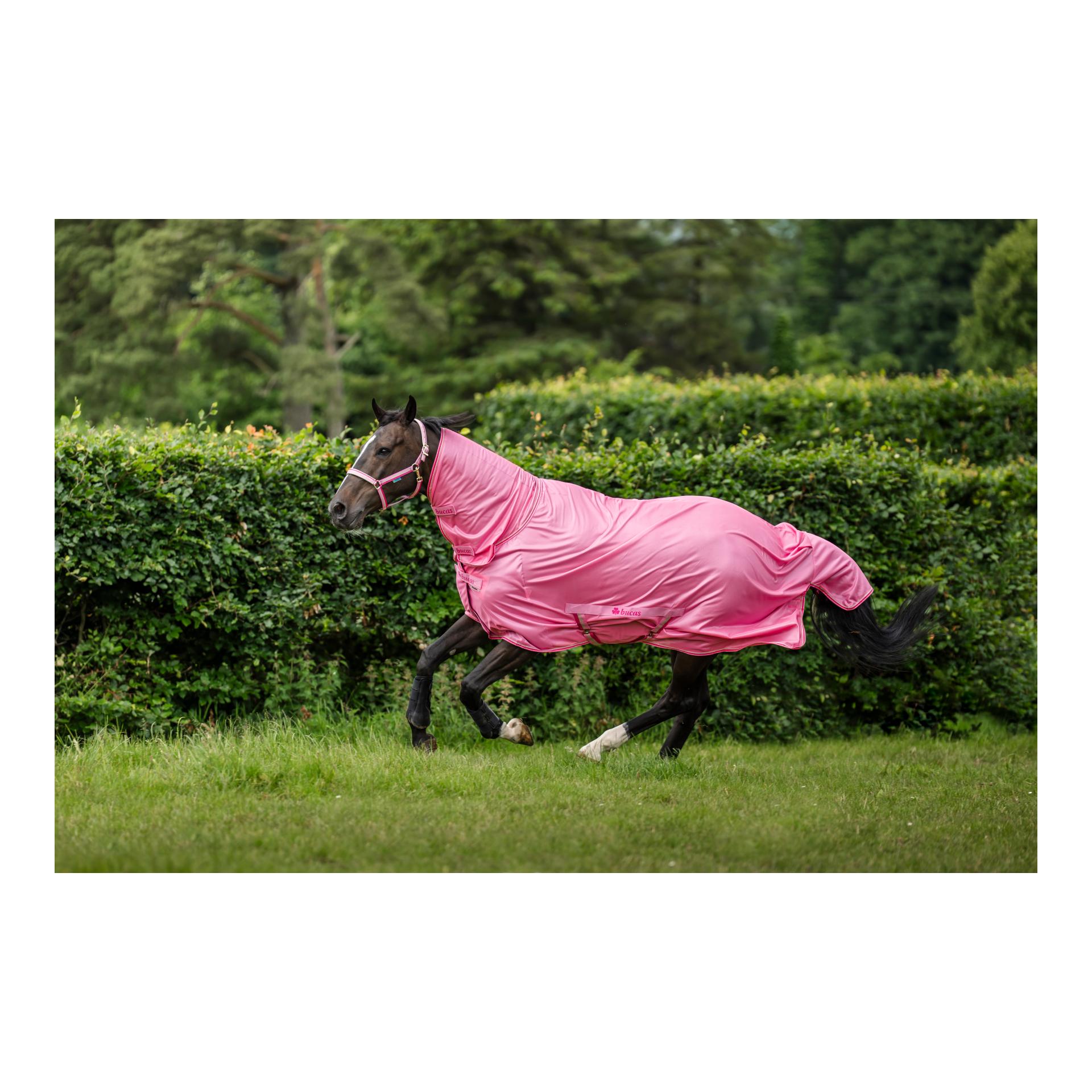 Fliegendecke Freedom