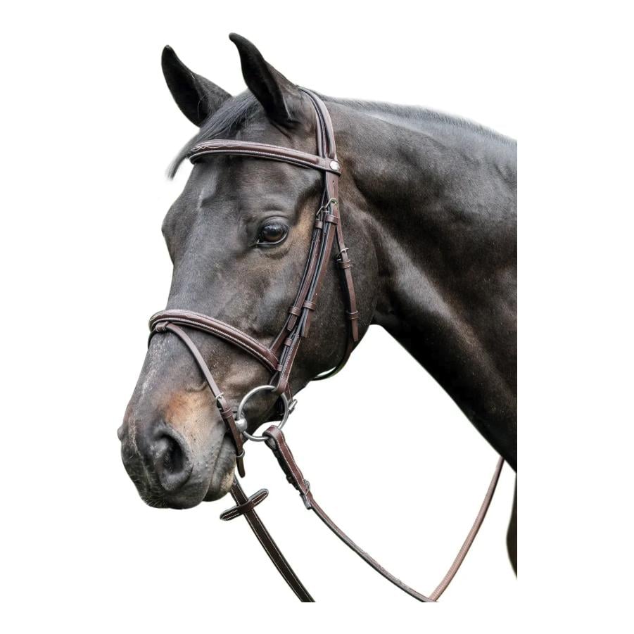 Trensenzaum Bombiert