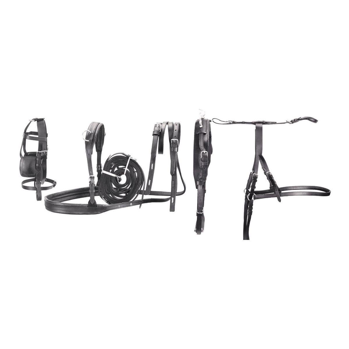 Kutschgeschirr Set Leder Basic - für Ponys
