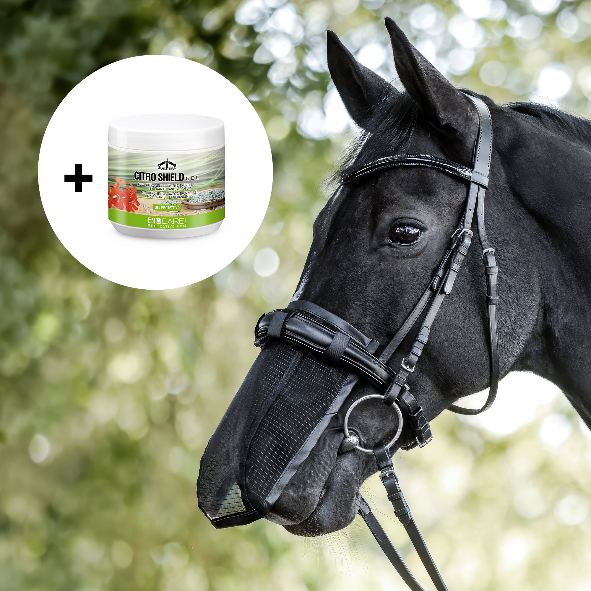 Fliegen-Nasenschutz und Insektengel Citro Shield Gel