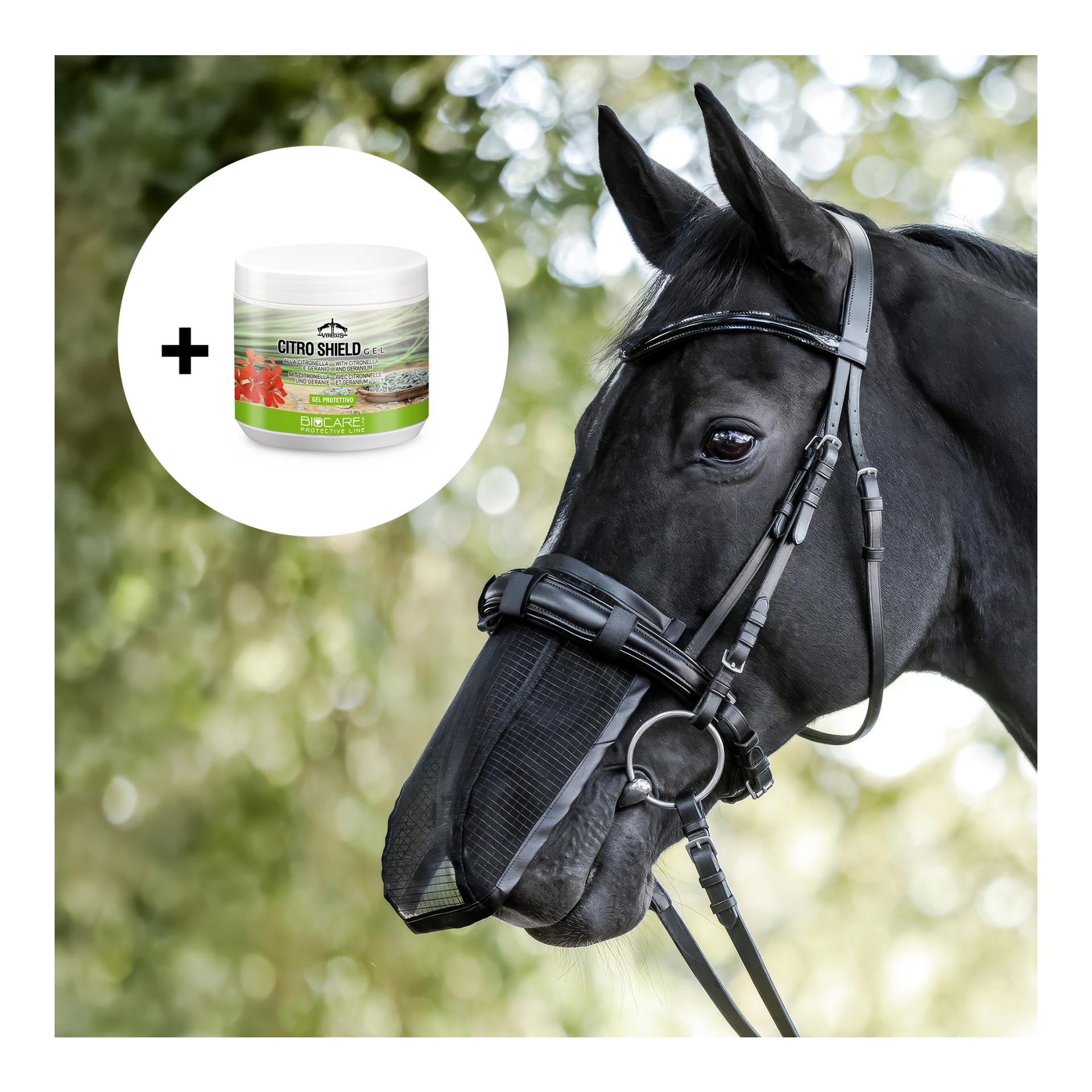 Fliegen-Nasenschutz und Insektengel Citro Shield Gel