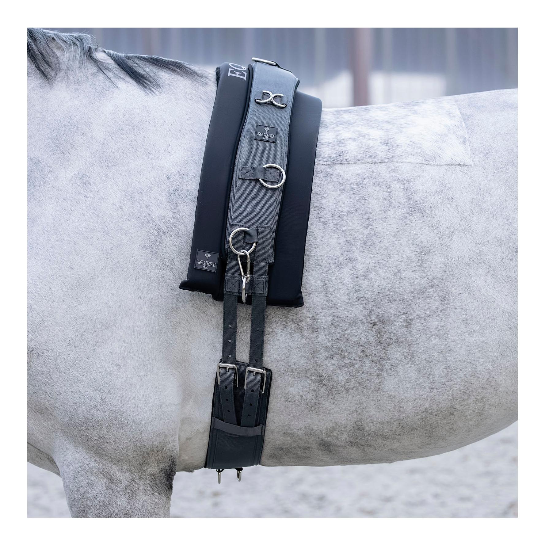 EQuest Longierunterlage TH