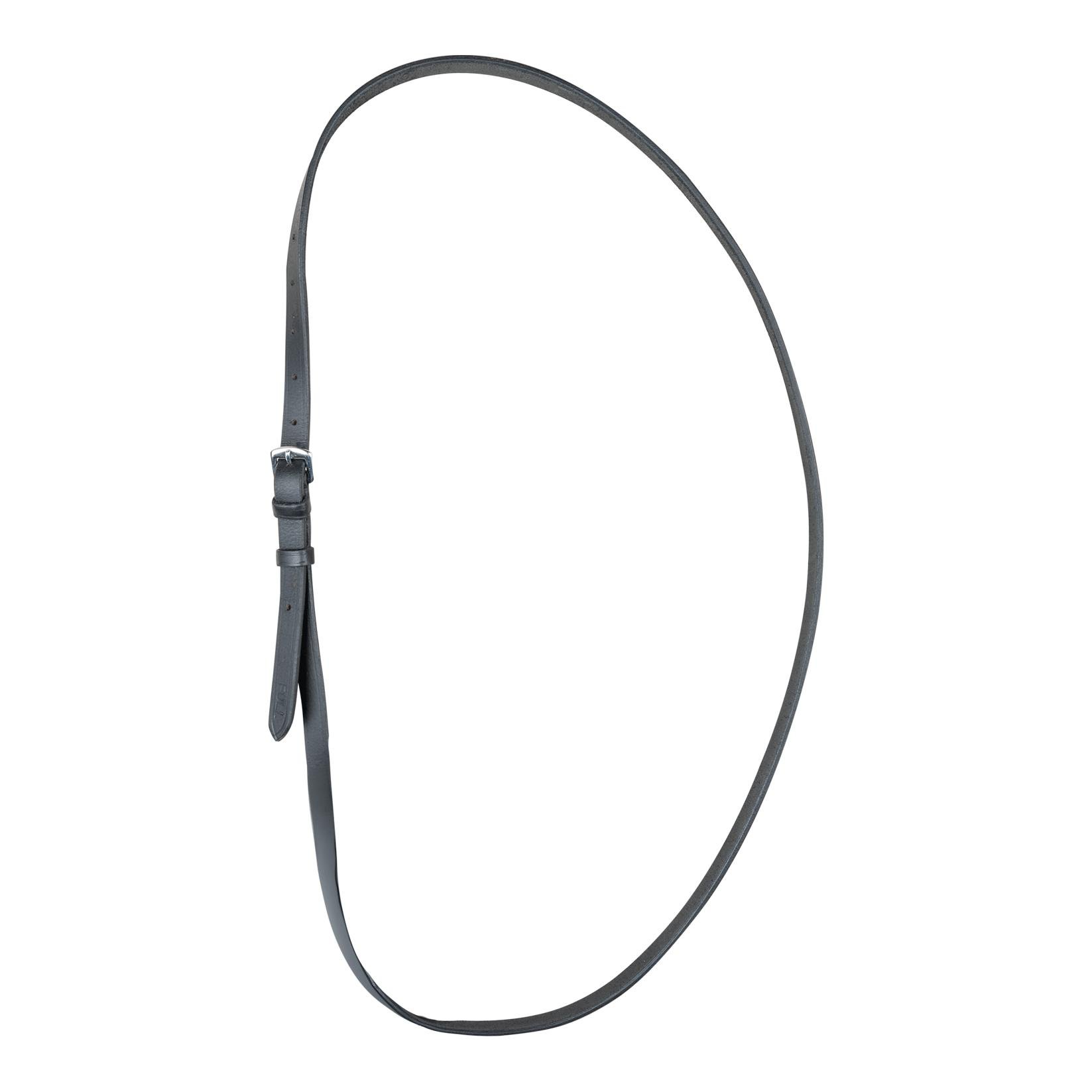 Ausreitriemen für Reitplakette