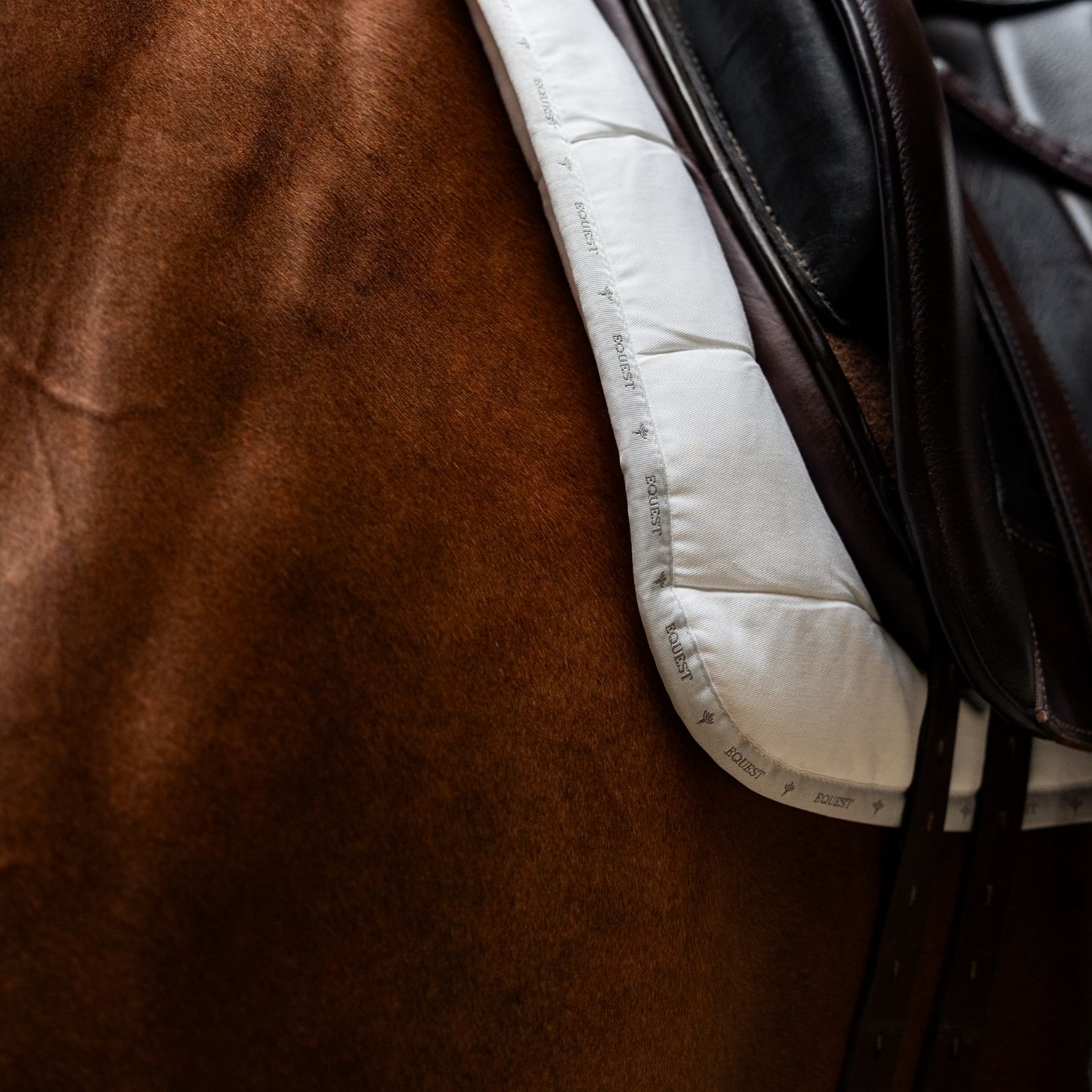 EQuest Equest Move Pad