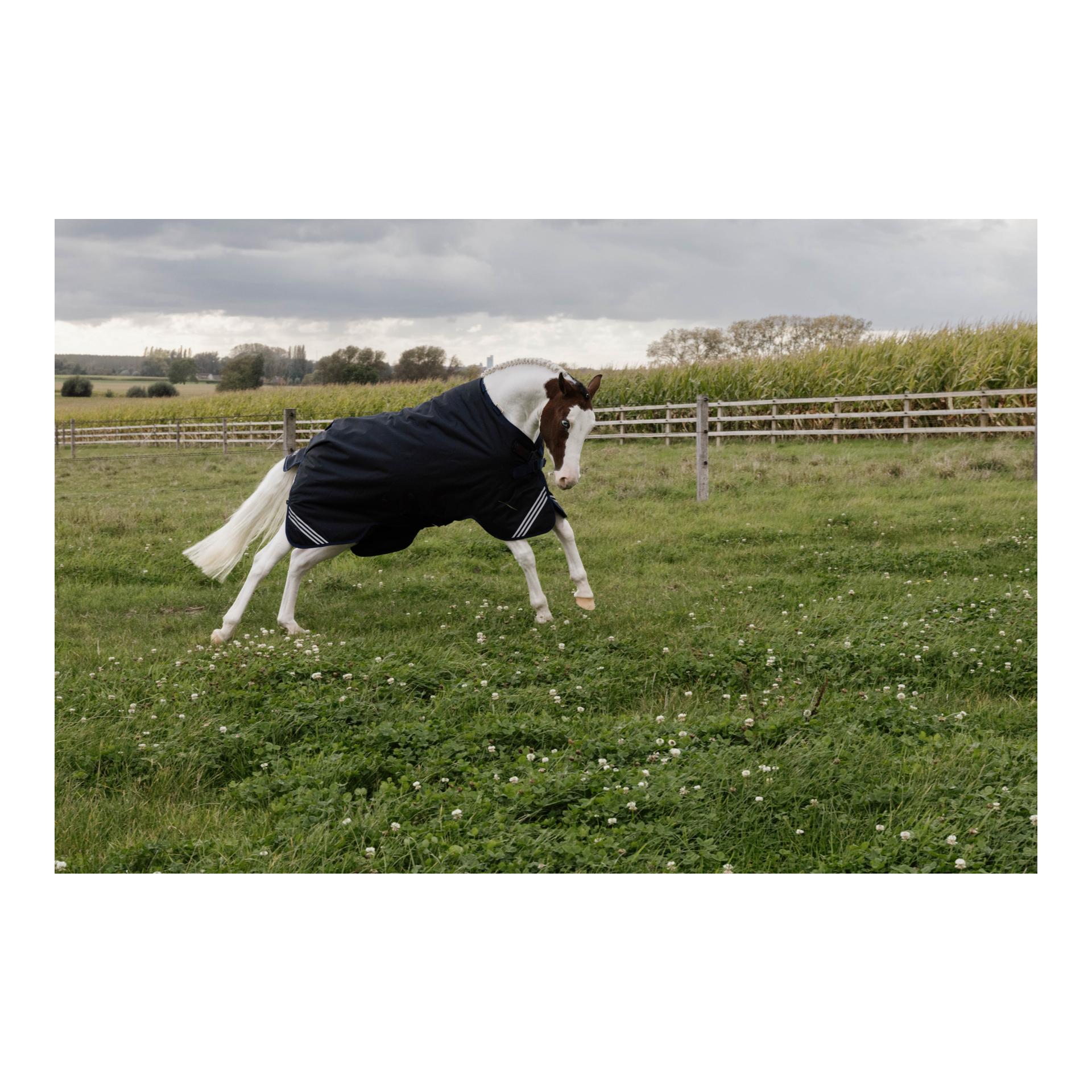 Weidedecke all Weather waterproof Comfort 100g Weidedecke all Weather waterproof Comfort 100g