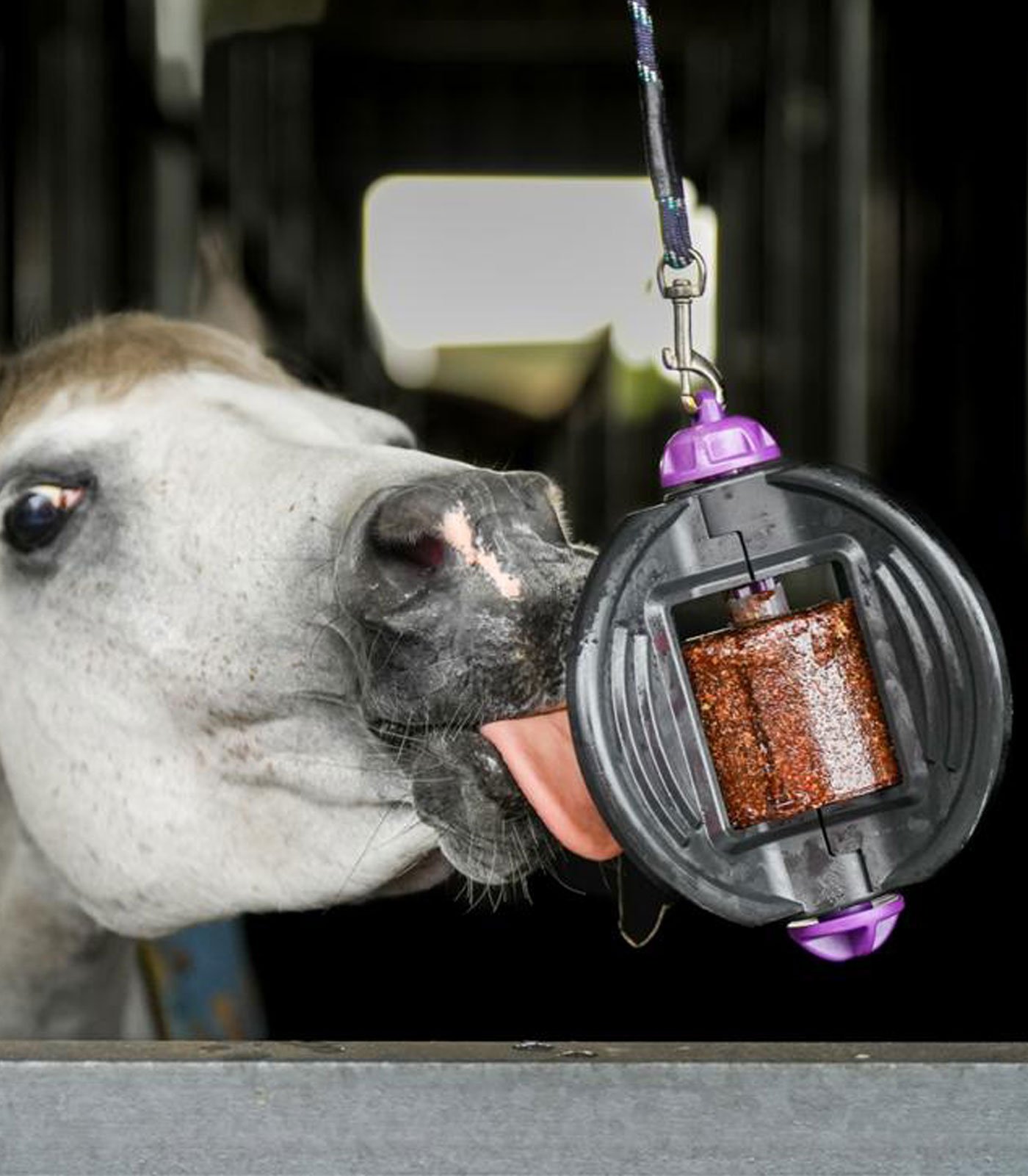 Bizzy Horse Bizzy Ball