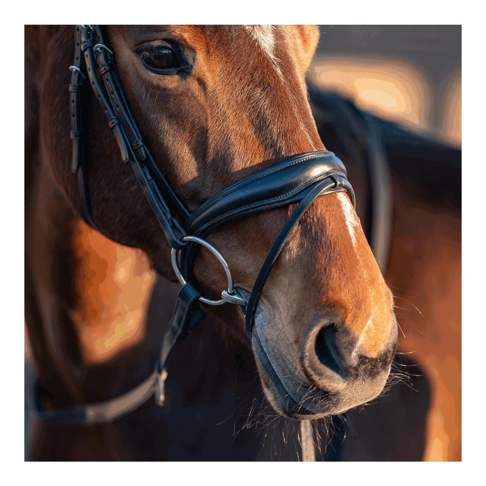 Sprenger Mors chantilly Turnado simple brisure 16 mm