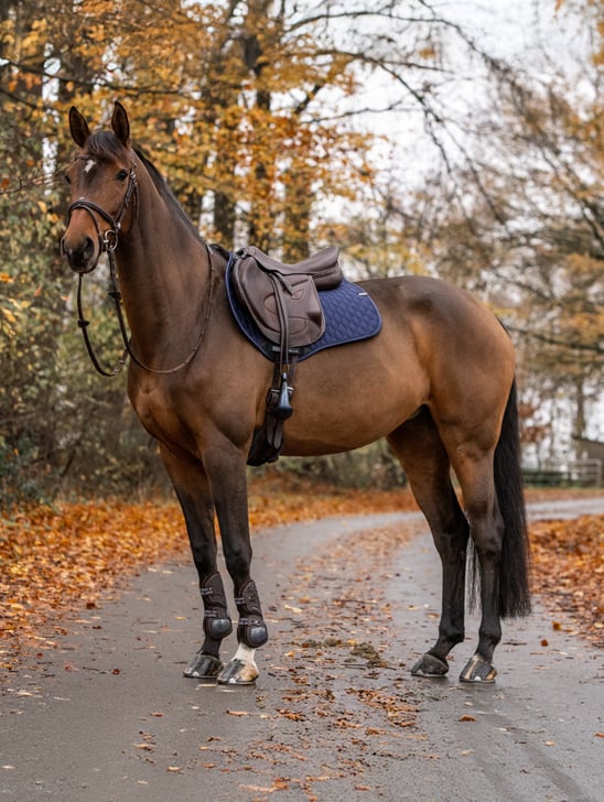 RS-548x728-2x-startpage-Stuebben