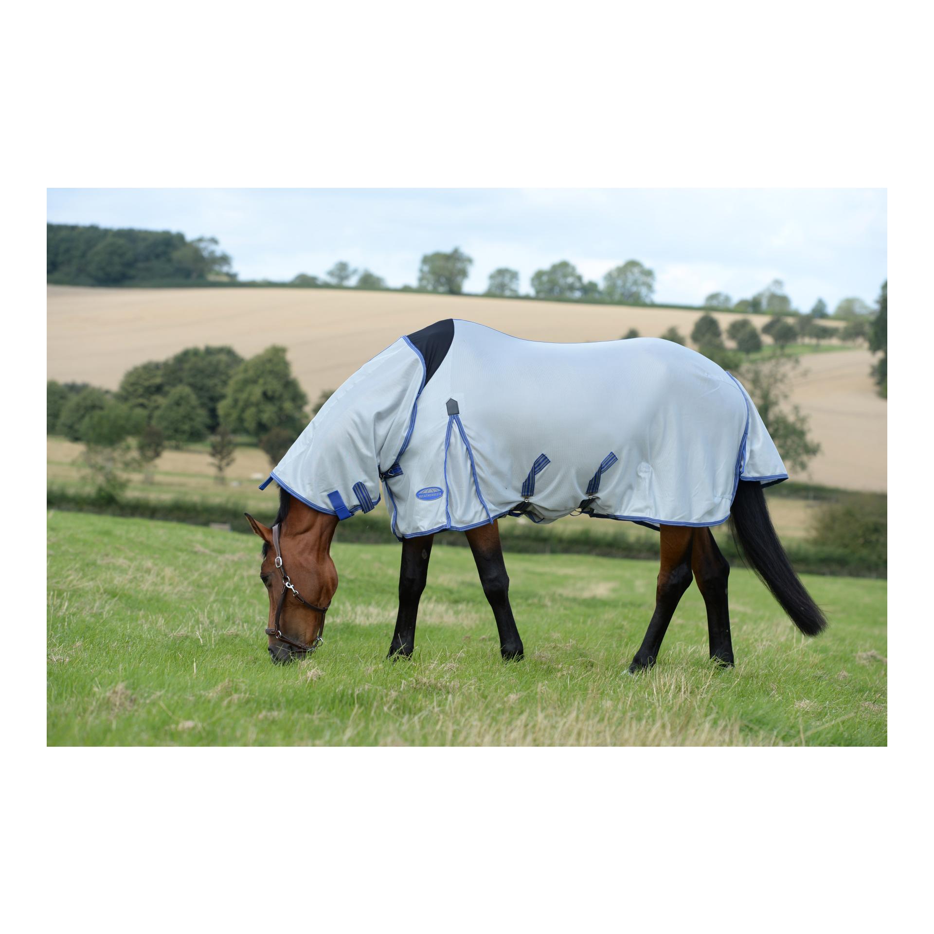 Fliegendecke Airflow II Combo - grau/blue Fliegendecke Airflow II Combo - grau/blue