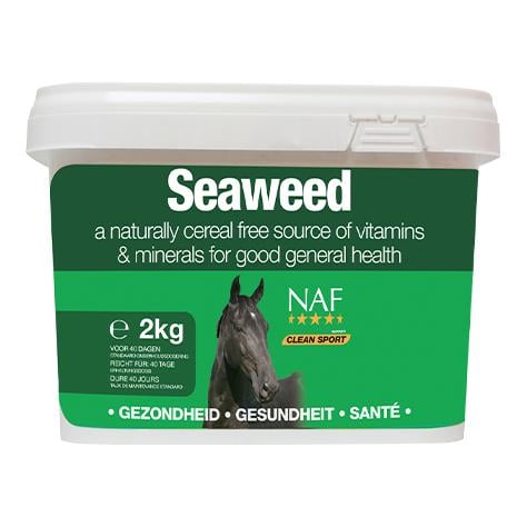 Seaweed Seaweed