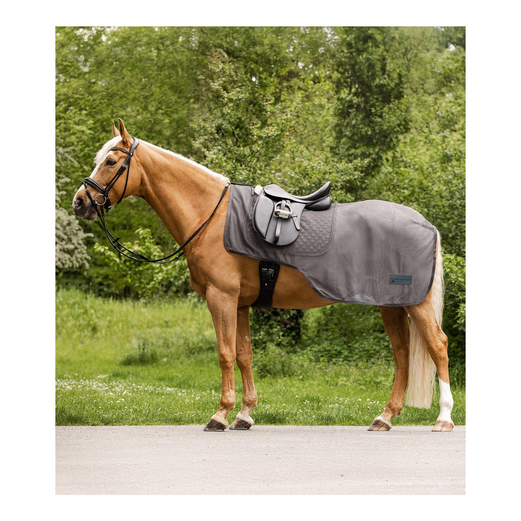 Fliegenausreitdecke Comfort - grau Fliegenausreitdecke Comfort - grau