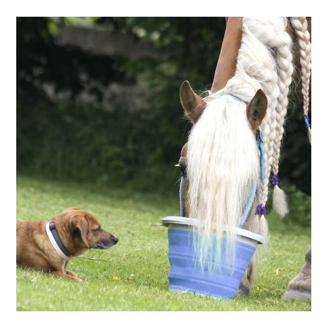 Waldhausen Faltbarer Eimer - azurblau
