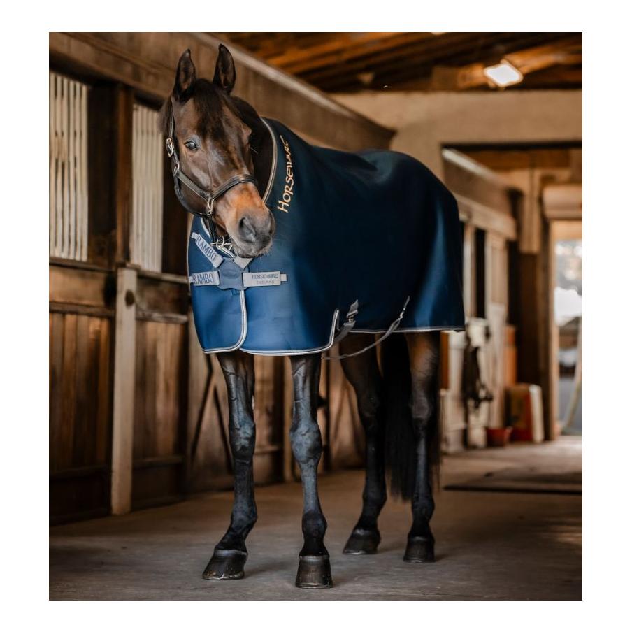 Abschwitzdecke Rambo Airmax