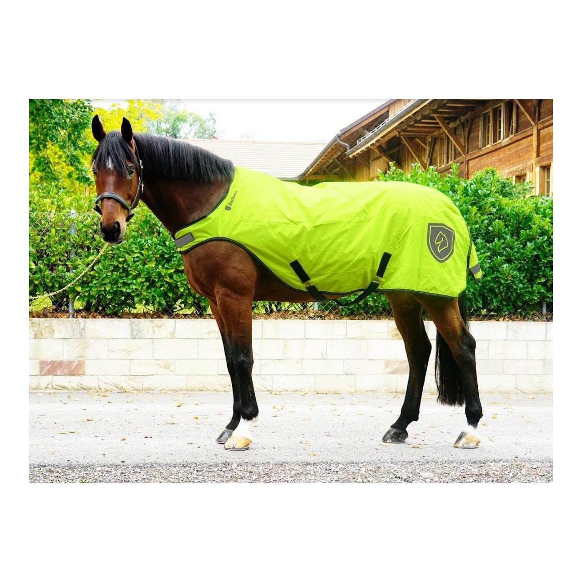 Decken-Set Outdoor Adventure Walker Rug & Ausreitdecke Deluxe Decken-Set Outdoor Adventure Walker Rug & Ausreitdecke Deluxe