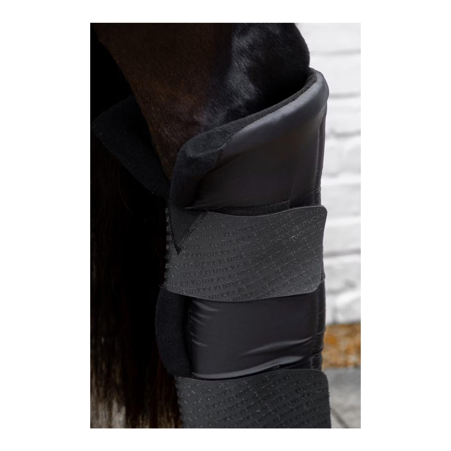 Stallgamaschen PROtect lang hinten