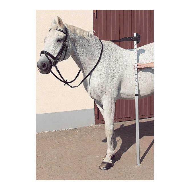 Mesure au bâton pour chevaux