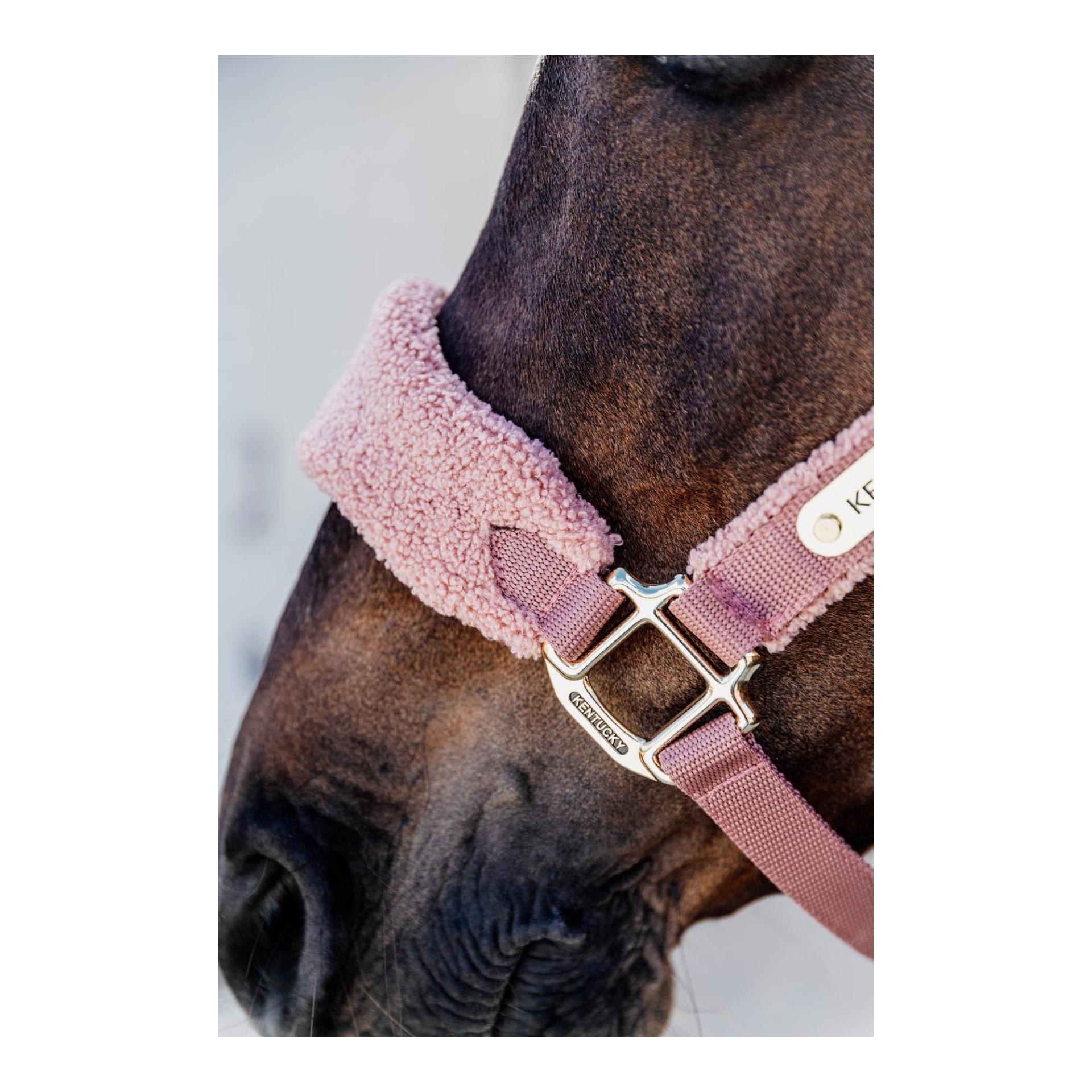 Halfter Teddy fleece