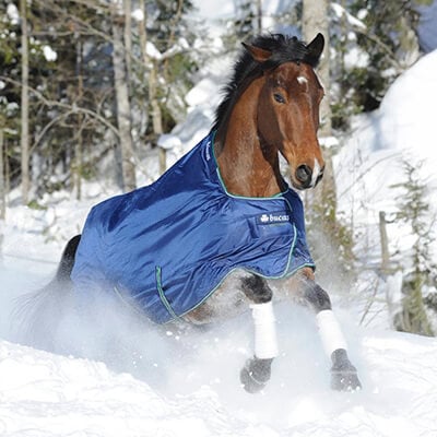 RS-KAT-Winterdecken RS-KAT-Winterdecken