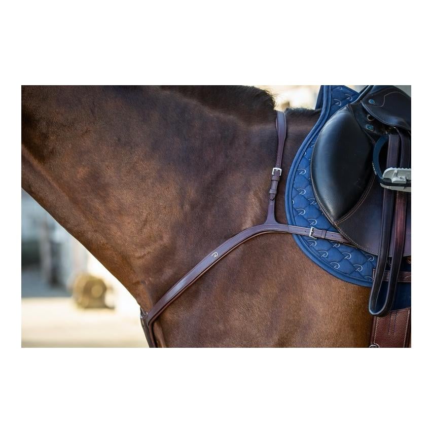 Vorderzeug mit langer Brücke New English Collection - braun