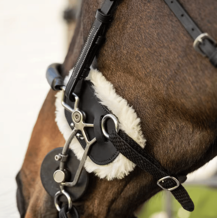 Dy'on Hackamore Schutz Lammfell