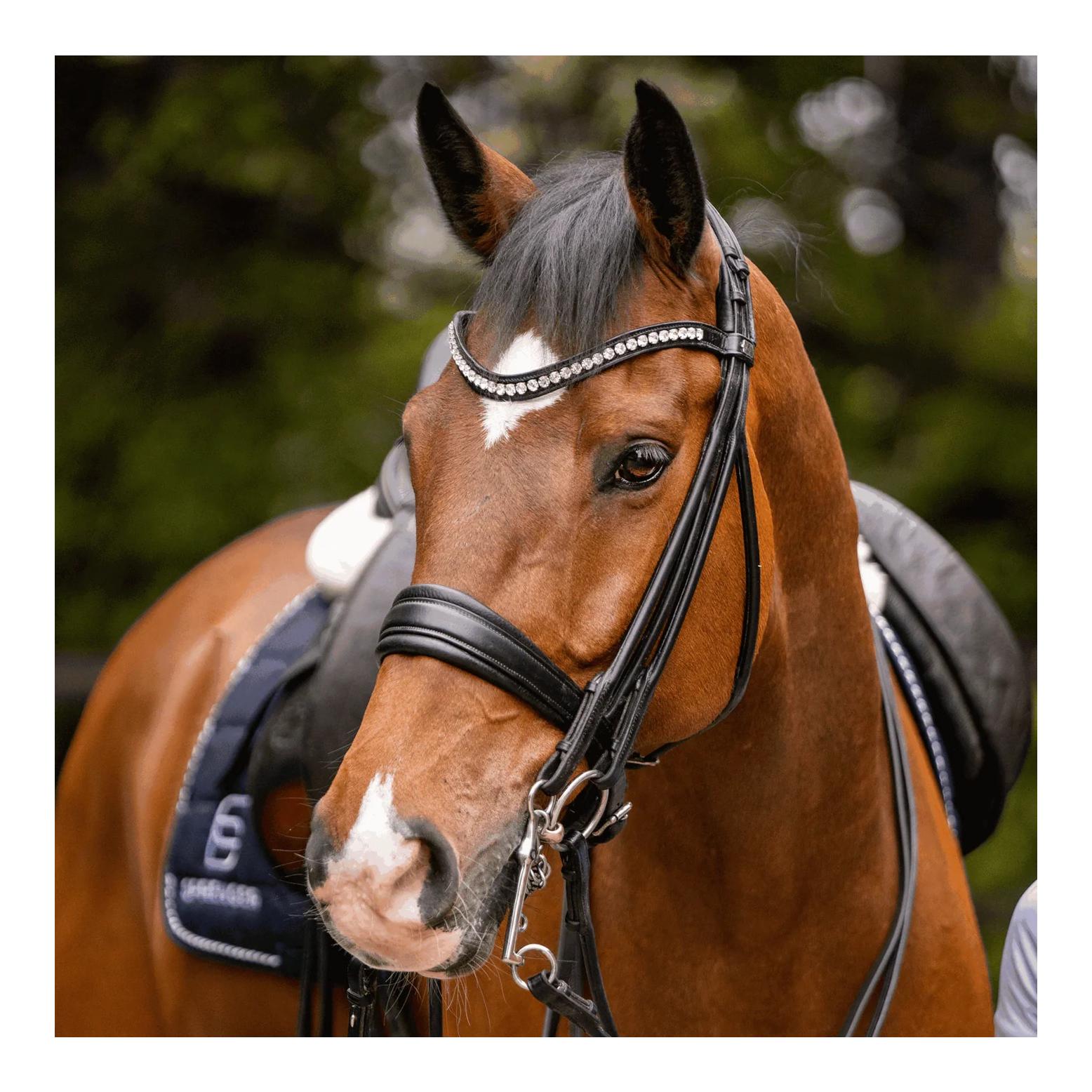 Sprenger HO-Reitkandare 14 mm - Sensogan, lange Anzüge