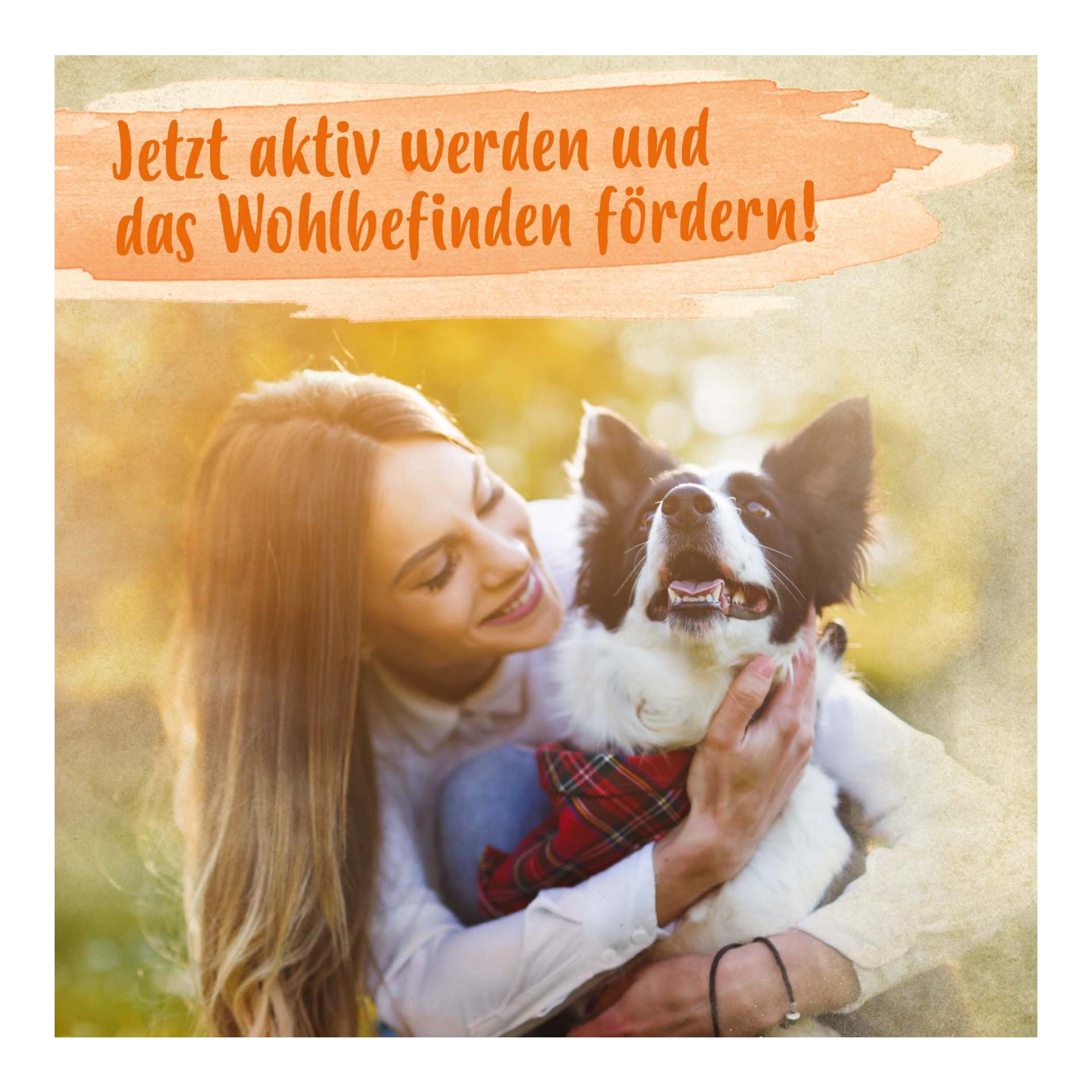 Bierhefe Pulver - Futterergänzung für glänzendes Fell & kräftige Haut Bierhefe Pulver - Futterergänzung für glänzendes Fell & kräftige Haut