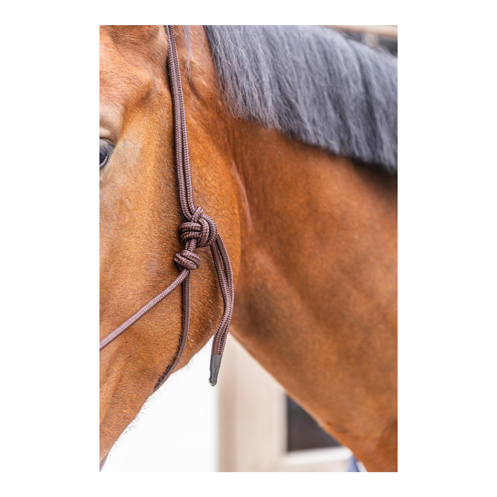 Grooming Deluxe Knotenhalfter