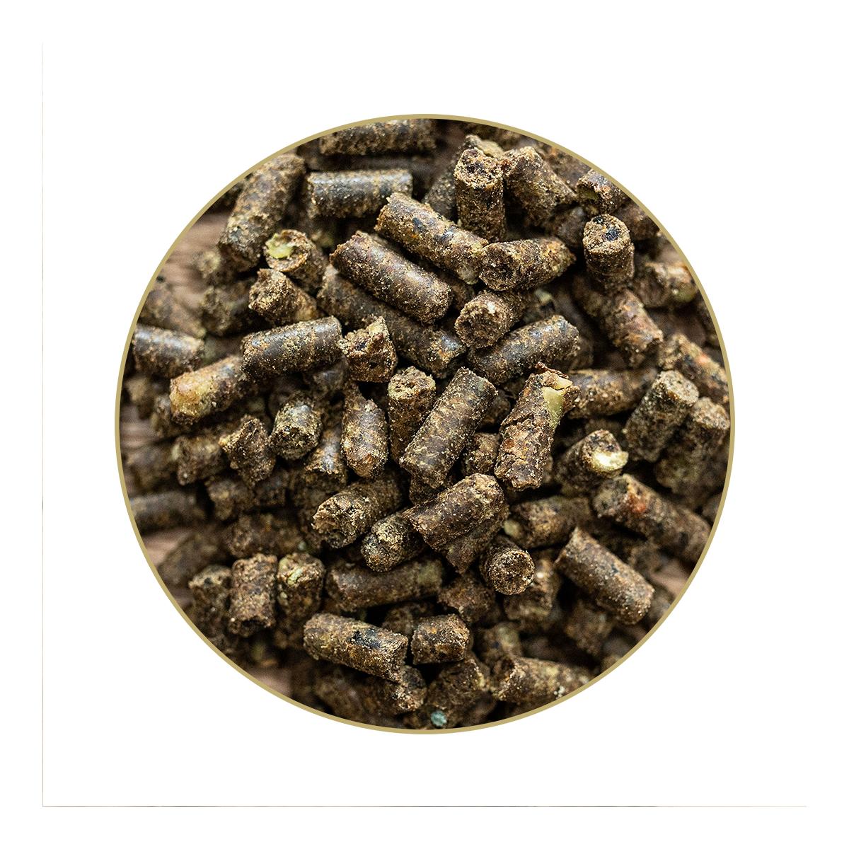 St. Hippolyt Knoblizem