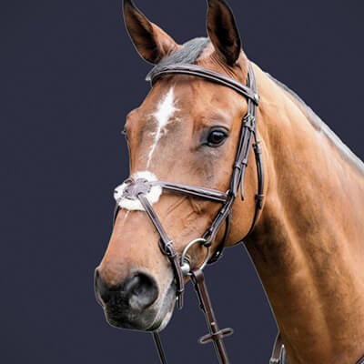 Mexikanisch (1) Mexikanisch (1)