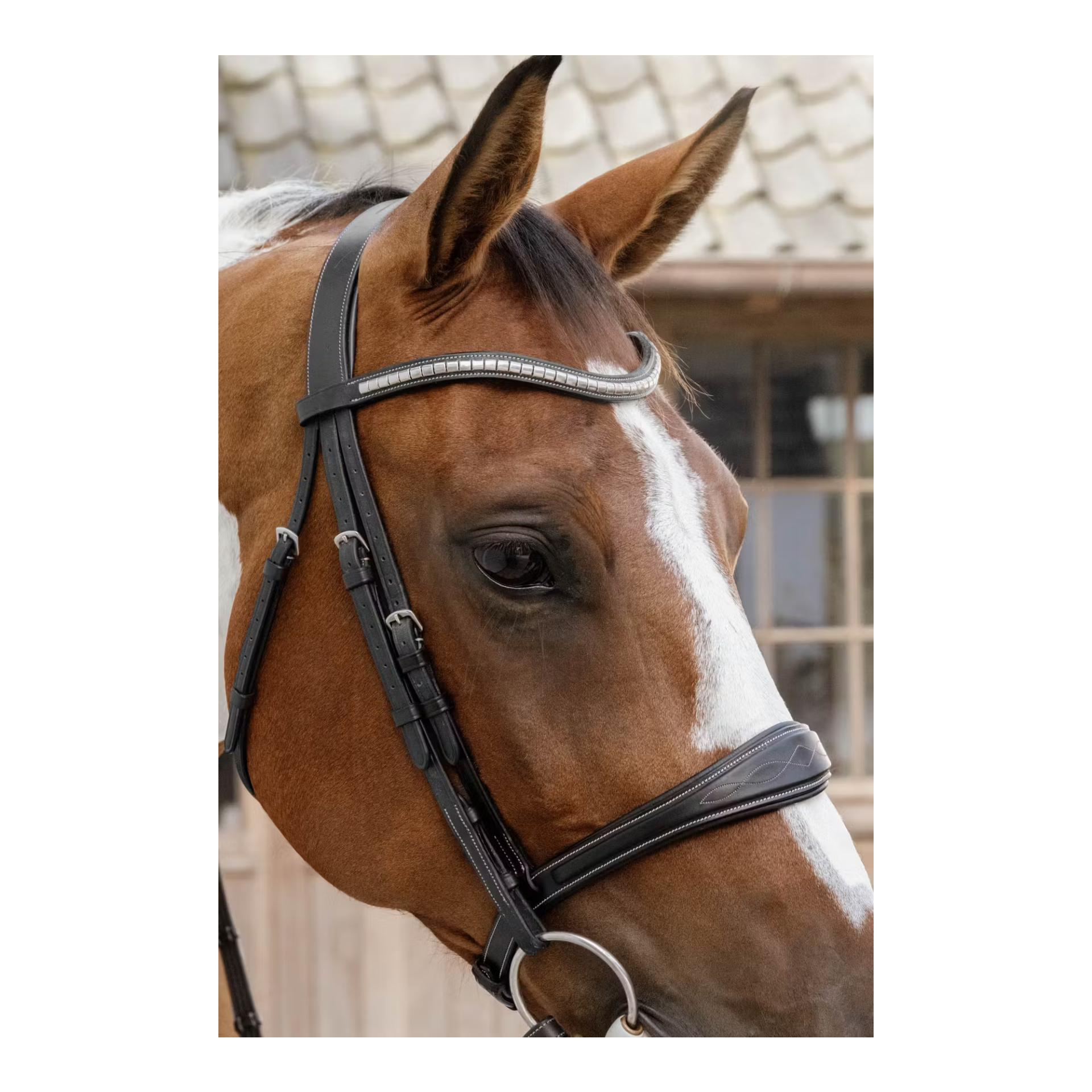 Anatomic noseband without flash Jumping Anatomic noseband without flash Jumping